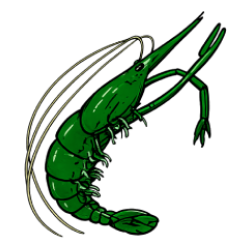 กุ้ง